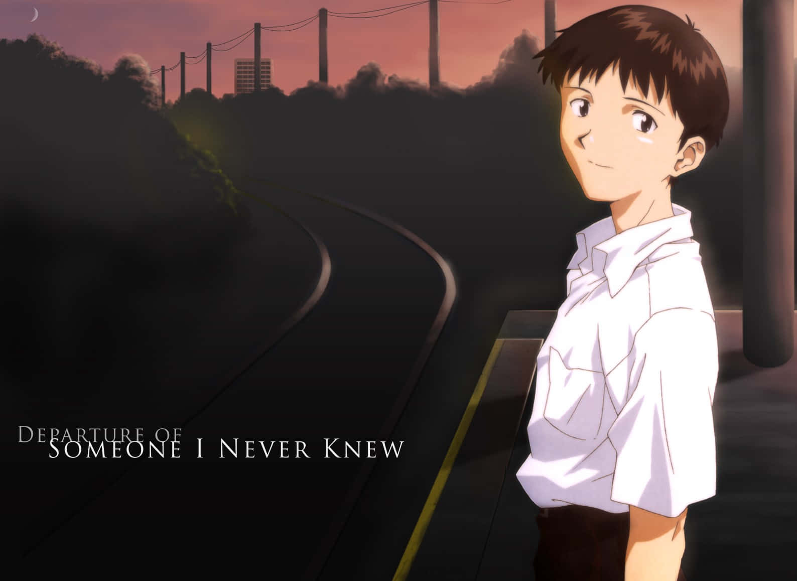 Avgångav Någon Jag Aldrig Kände - Shinji Ikari. Wallpaper