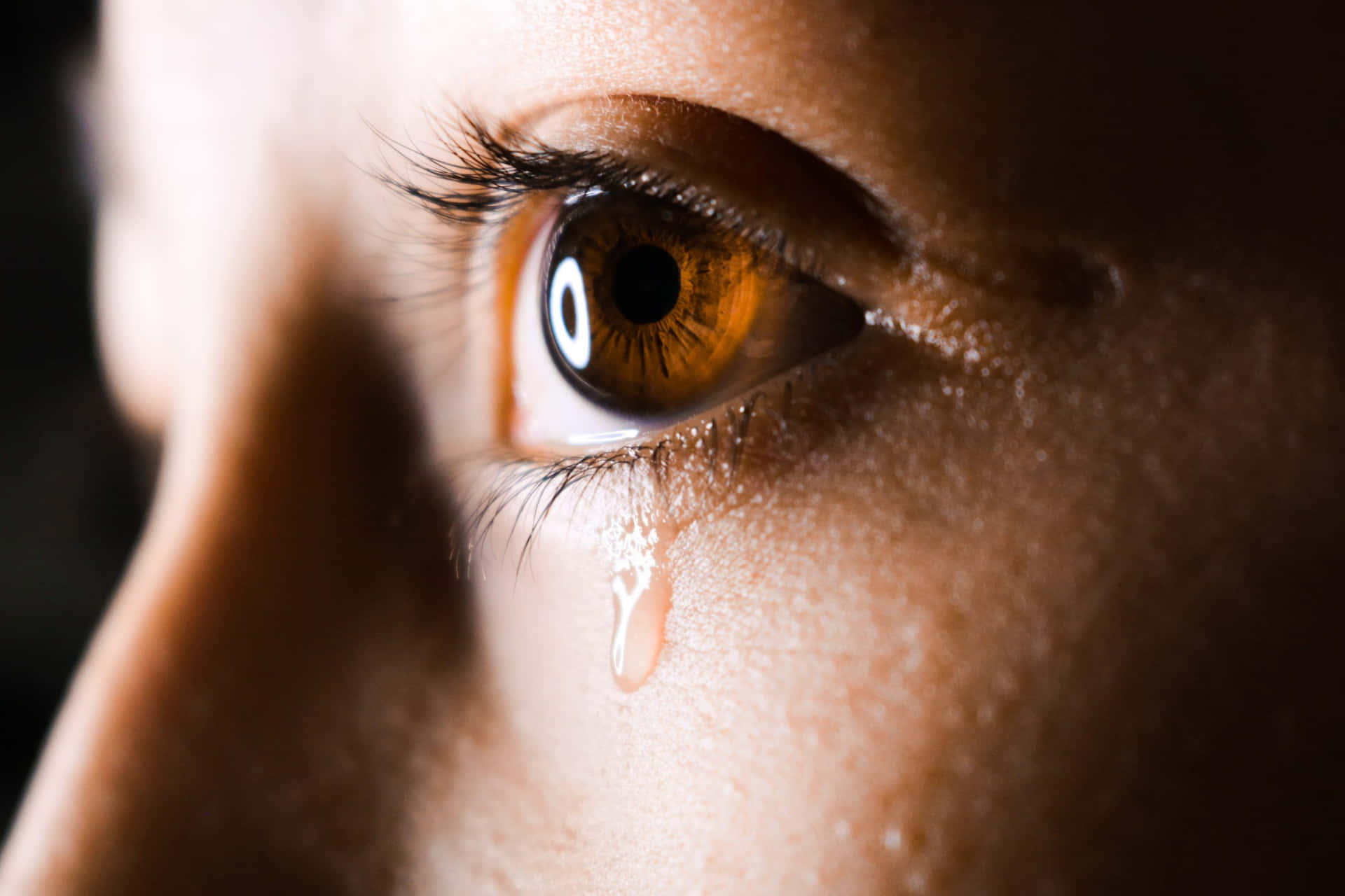 Enkvinnas Öga Gråter Tårar.