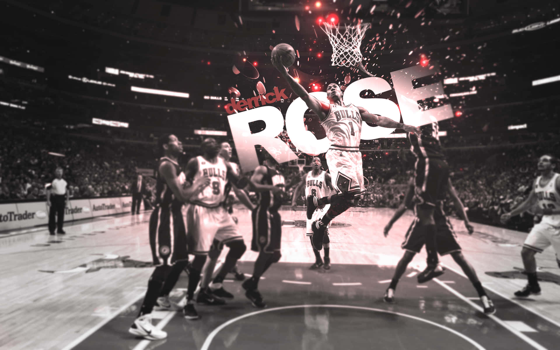 Derrick Rose - MVP of the 2009-10 NBA Season Wallpaper