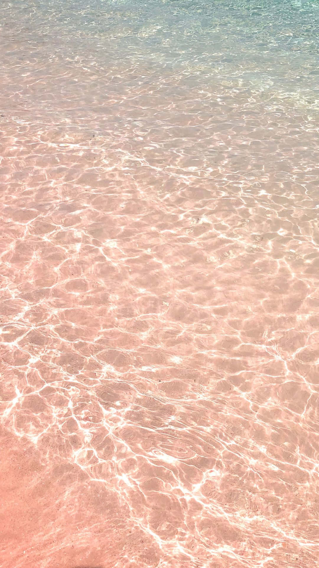 Descubrela Magia De La Playa Rosa Fondo de pantalla