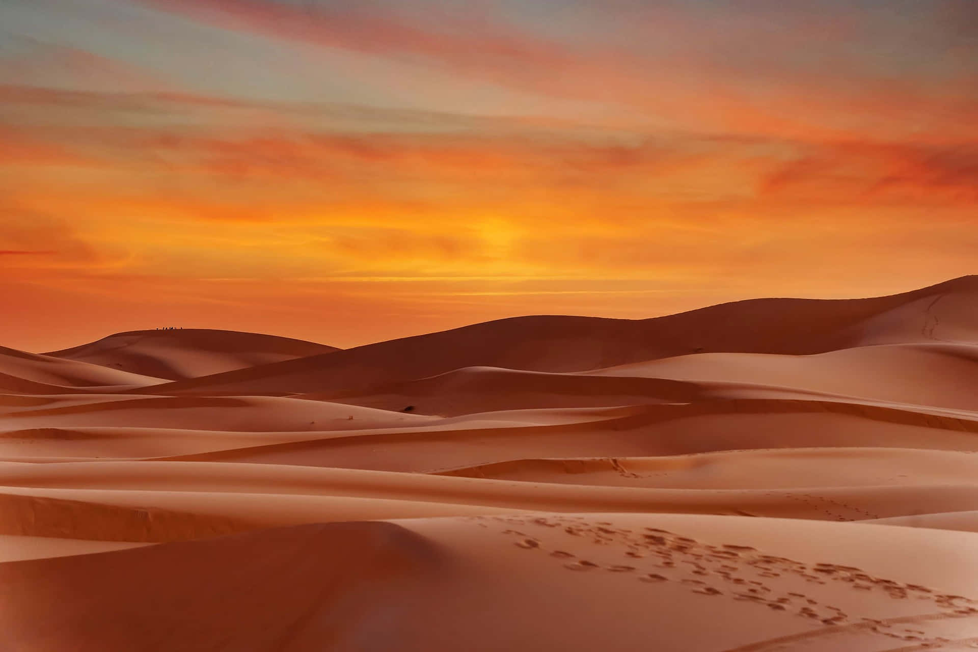 Skønhedeni Ørkenen.