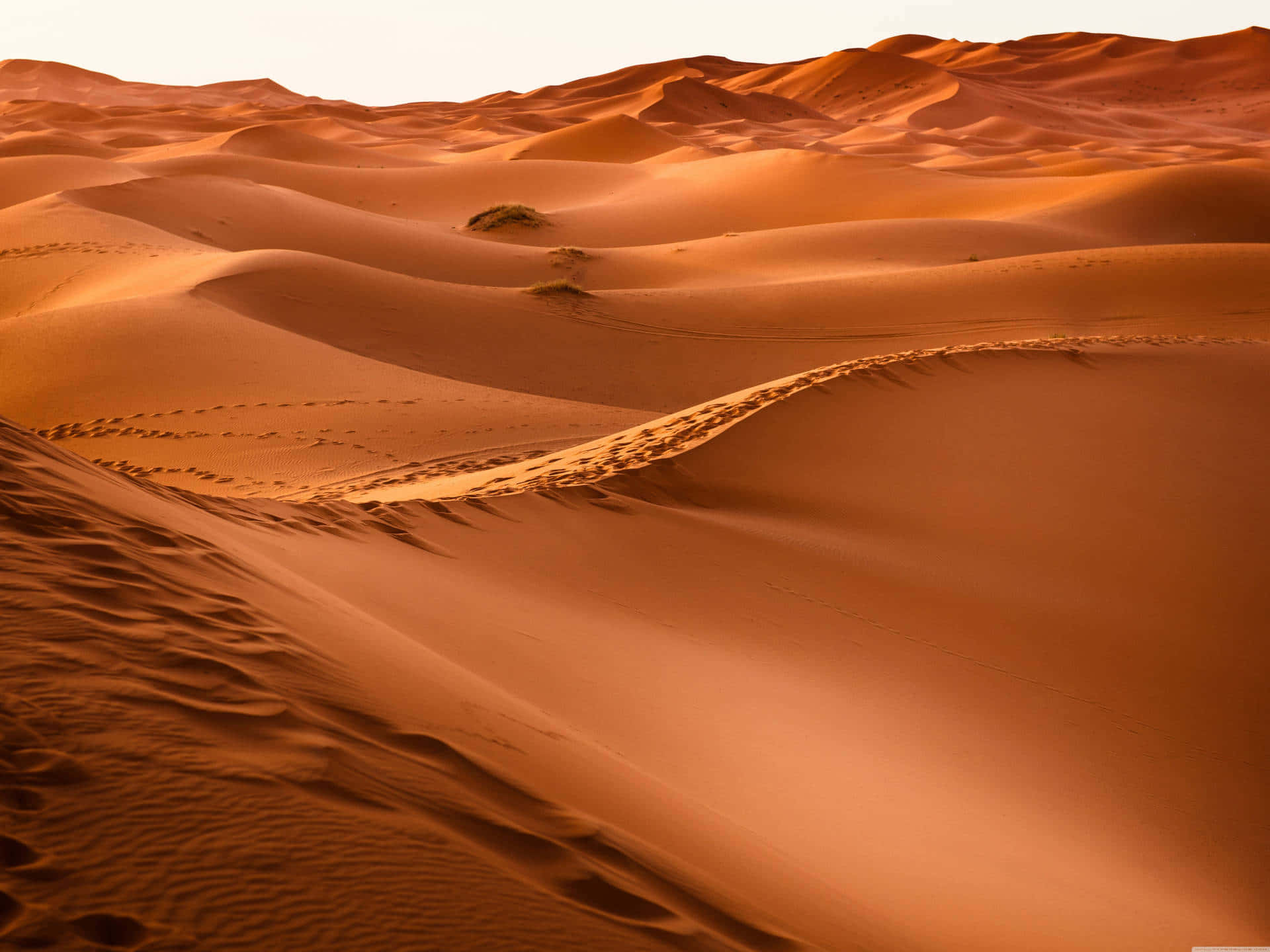 Find your peace in the Arabian desert