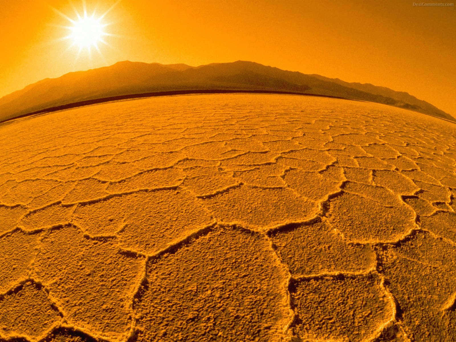 Explore the never ending landscapes of the golden desert