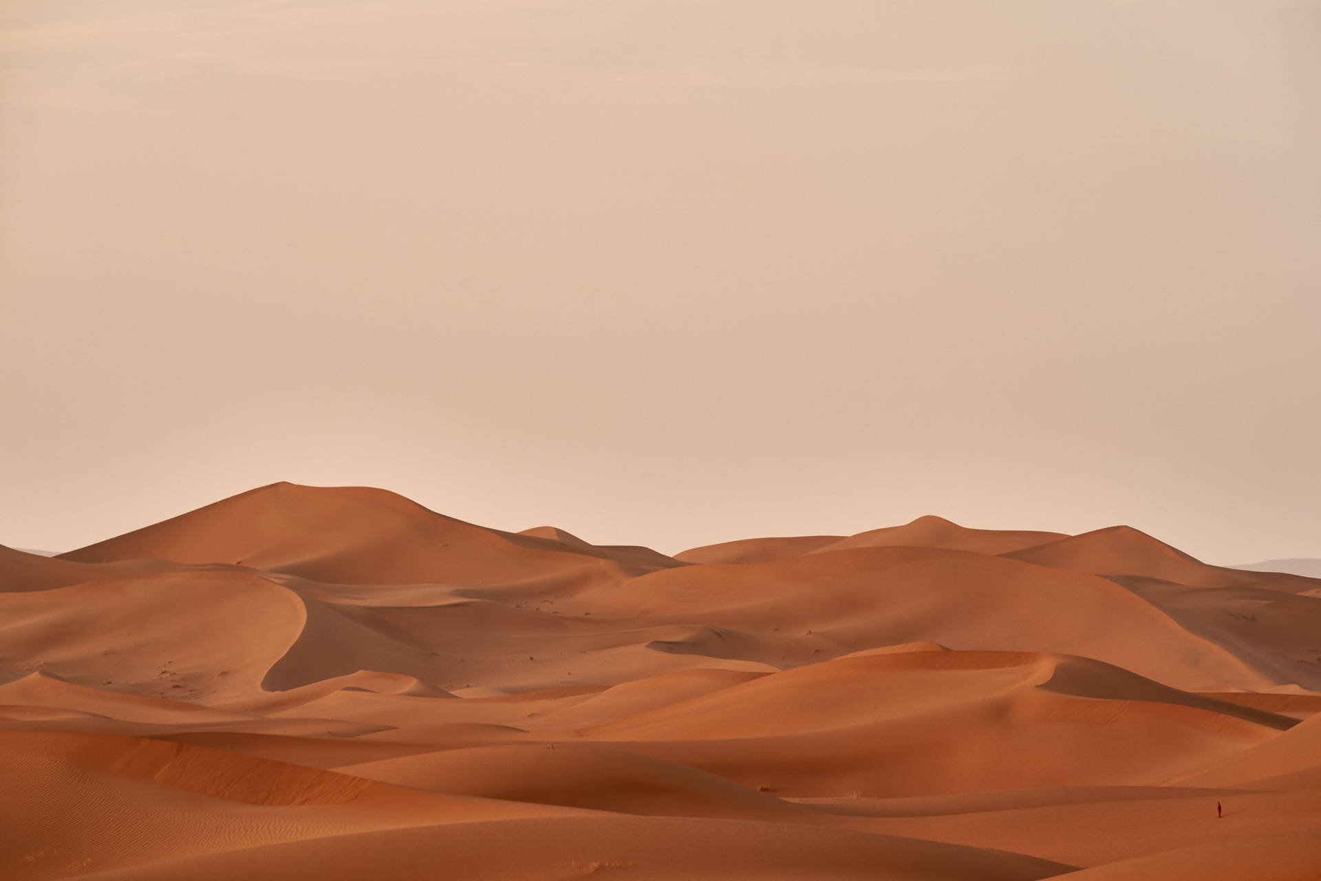 Desert Beige Aesthetic Desktop Wallpaper