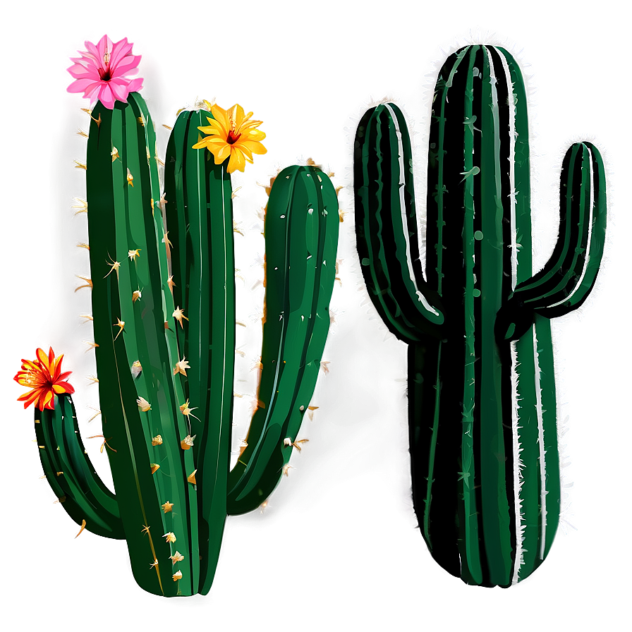 Desert Cactus Png Kls91 PNG
