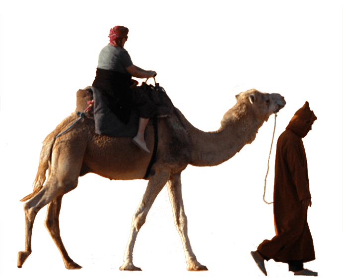 Desert Camel Ridewith Guide PNG