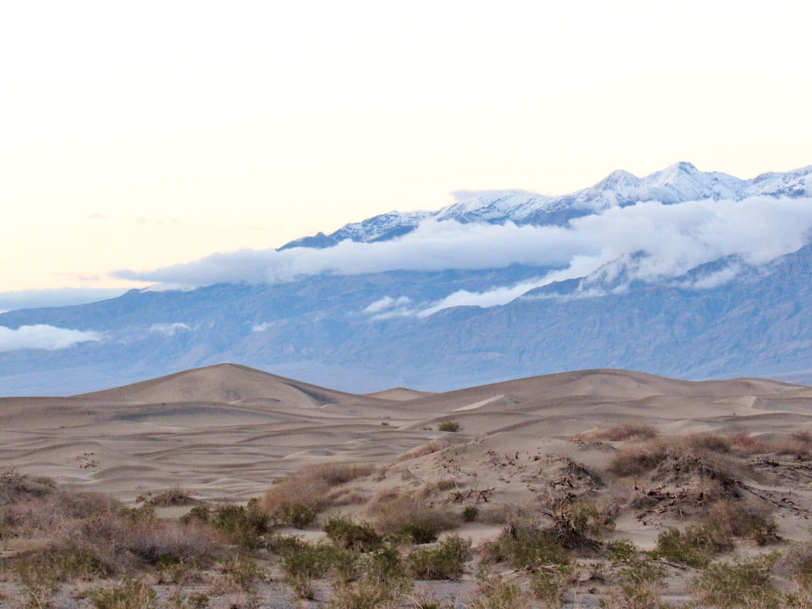 Dunes De Désert Avec Arrière-plan De Montagne Fond d'écran