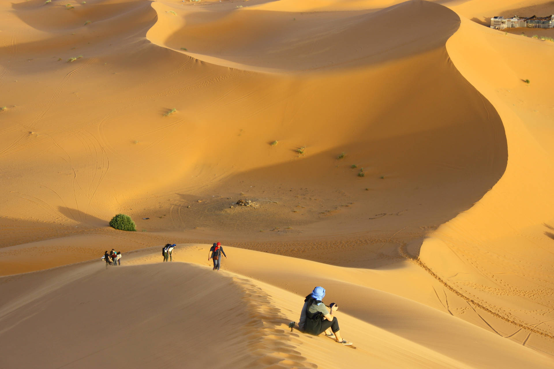 Wandernin Der Wüste Sahara Wallpaper