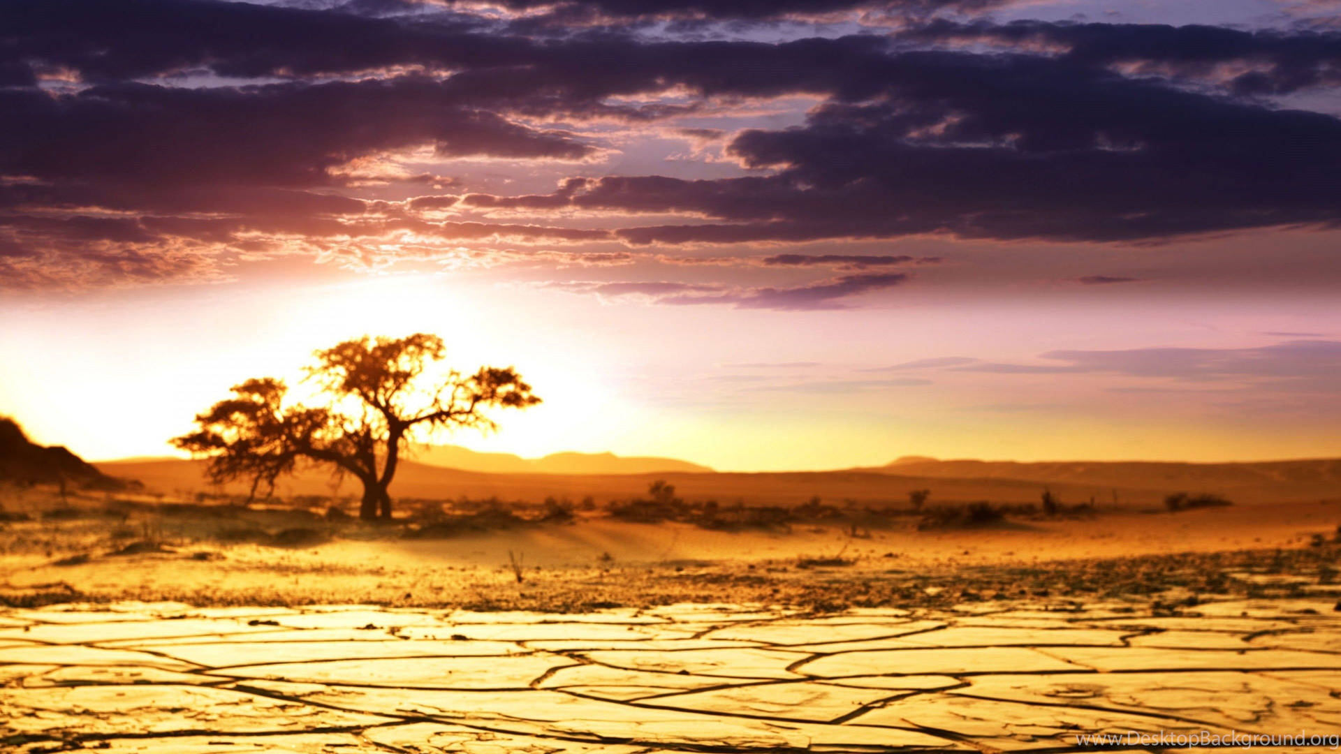 Desert In Africa 4k Background