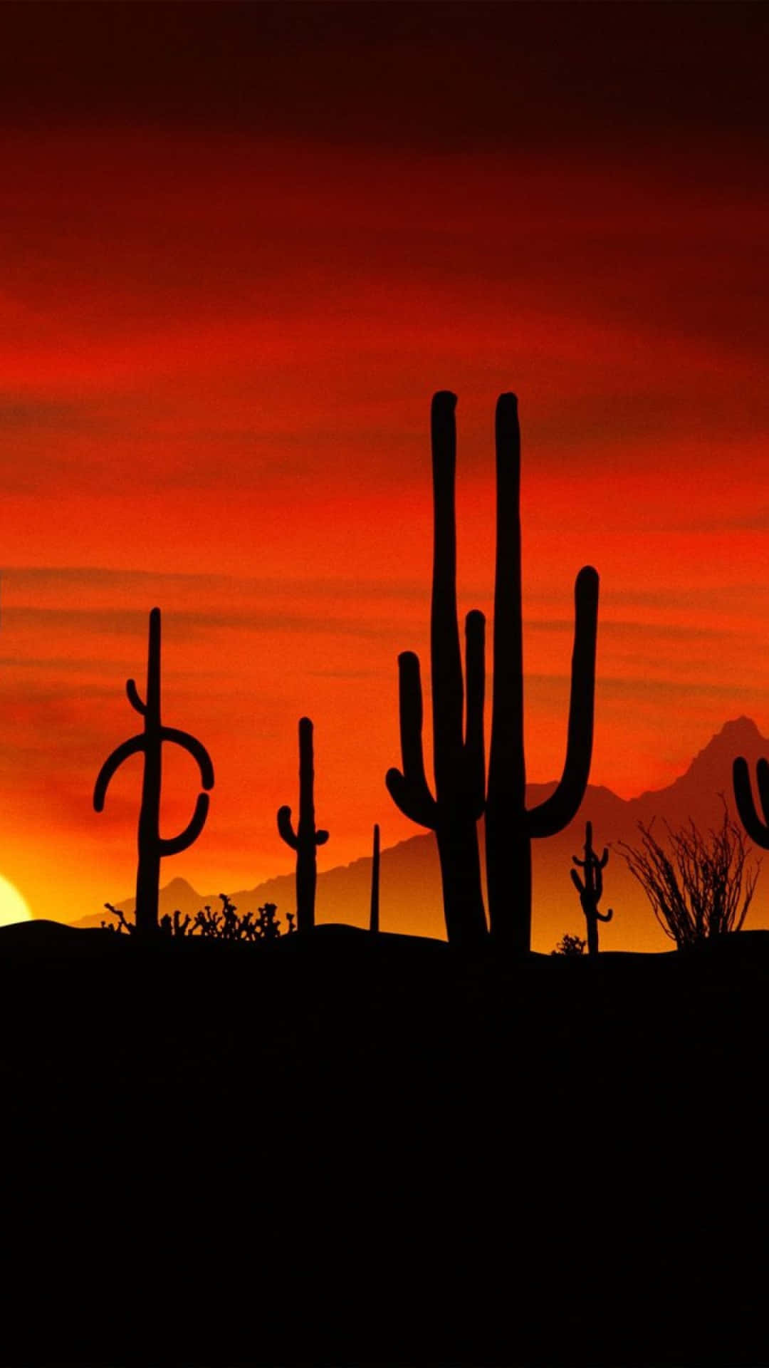 Kaktusund Sonnenuntergang In Der Wüste Iphone Wallpaper