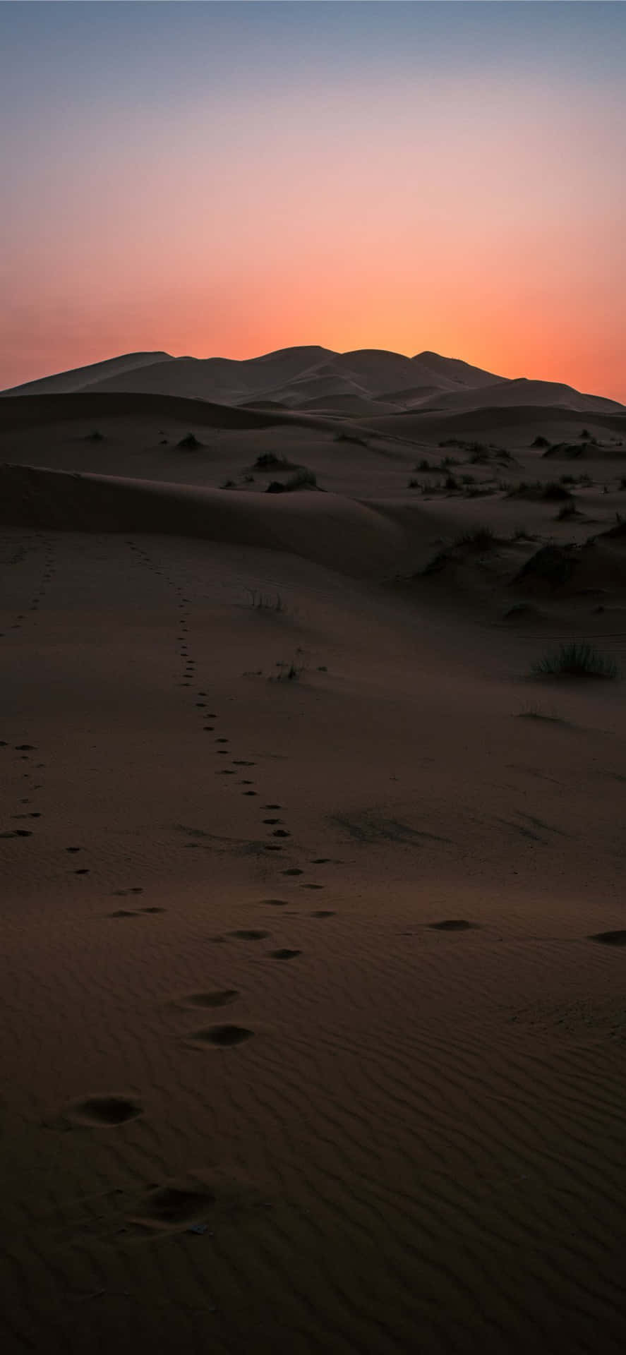 Sonnenuntergangin Der Wüste Iphone. Wallpaper