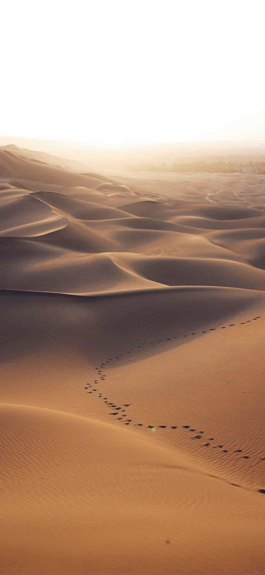 Fußspurenim Sand Der Wüste Iphone Wallpaper