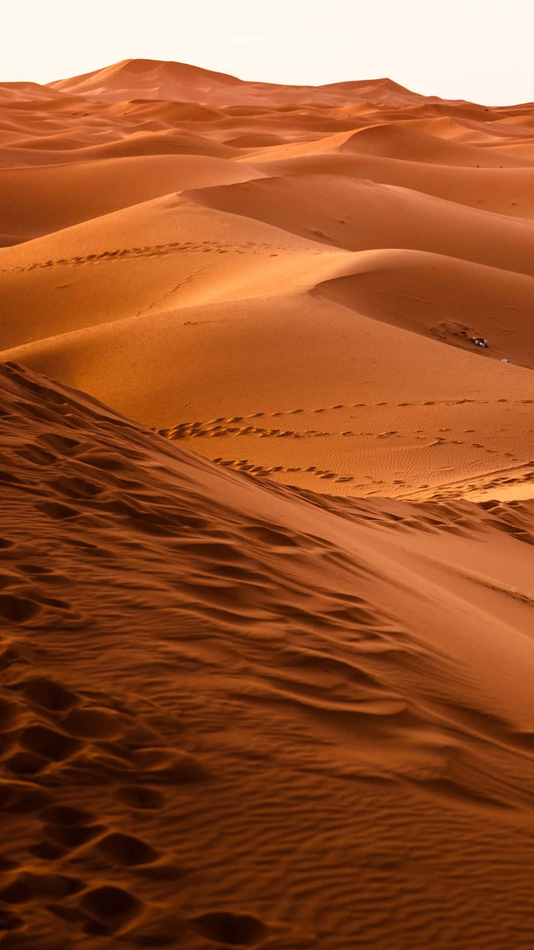 Låst ørkenfrihed begynder med en ørken Iphone tapet. Wallpaper