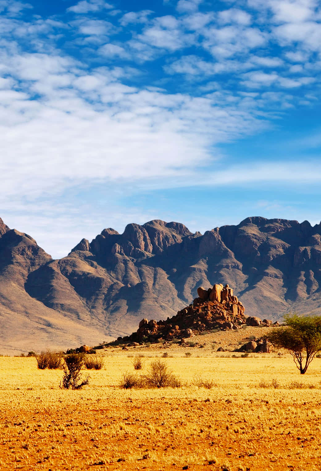 Gebirgskettein Der Wüste Von Nevada Für Das Iphone Wallpaper