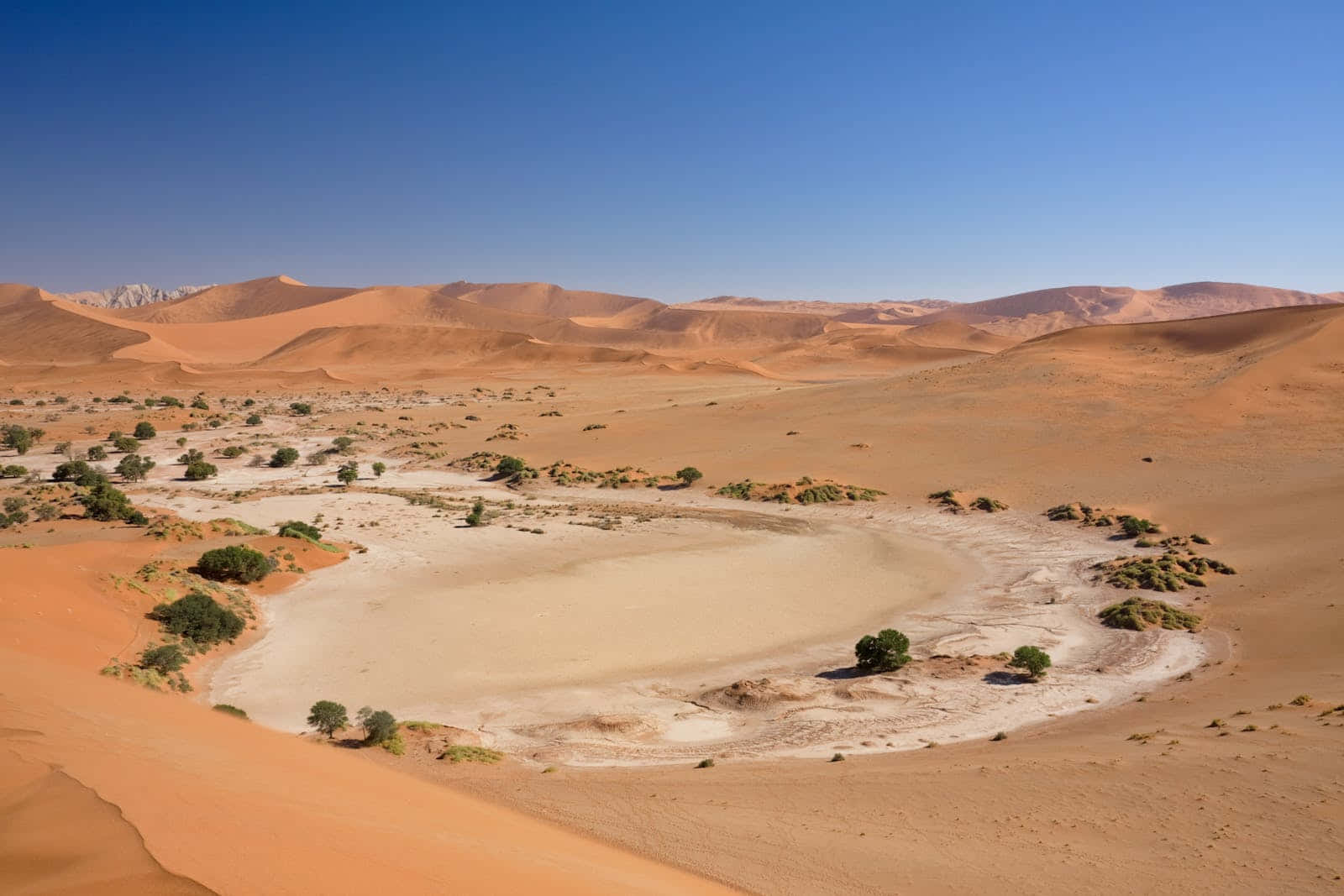 Take a magical journey through the stunning desert