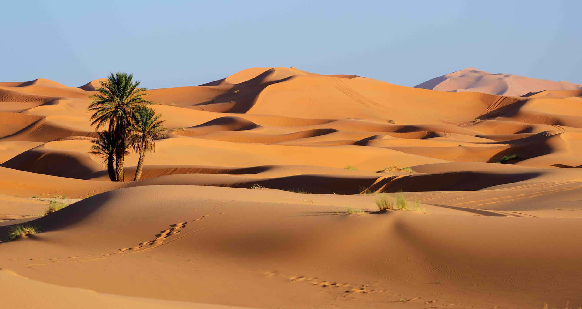 Nydskønheden Og Ensomheden I Ørkenen.