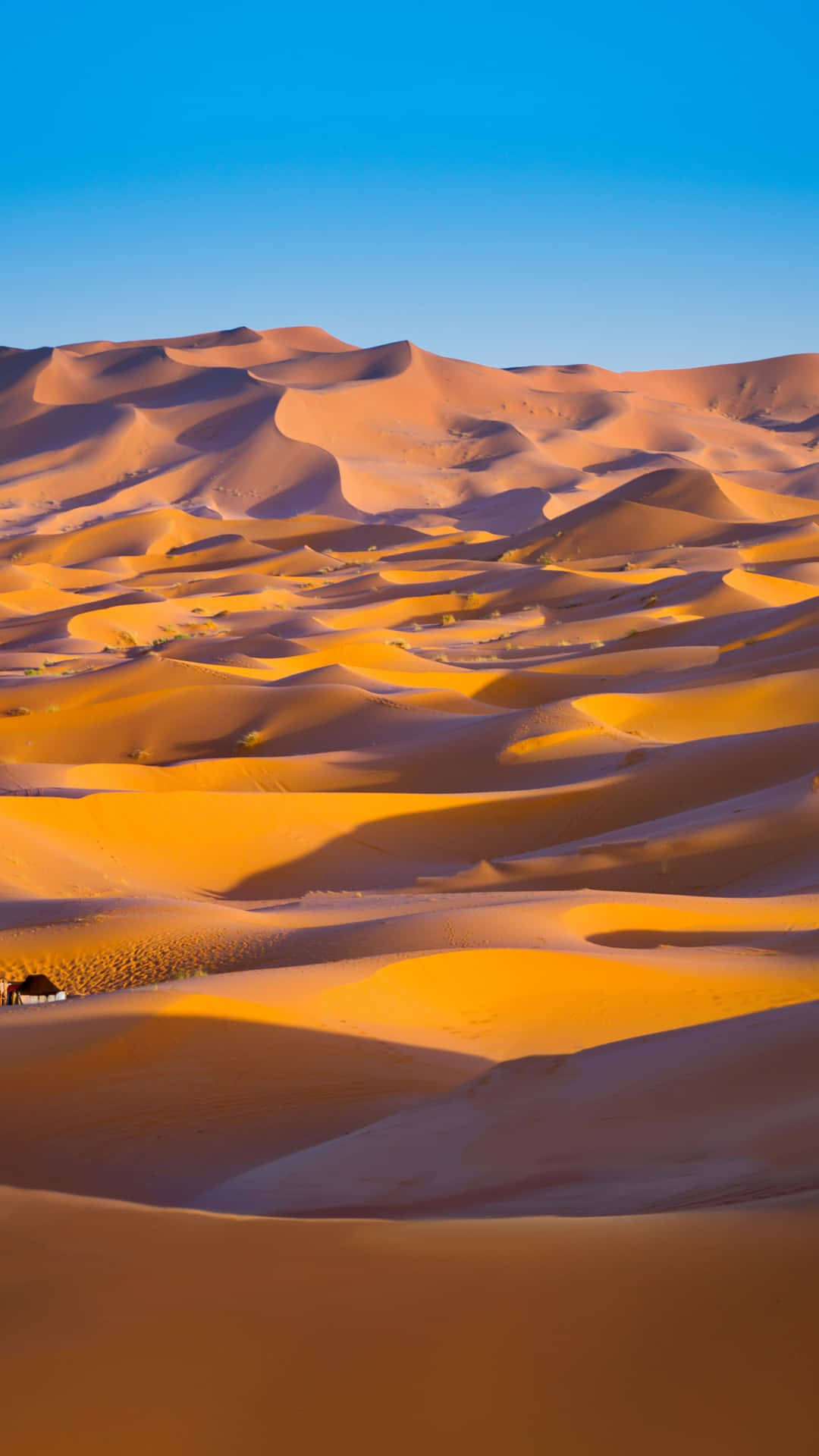 Unavista Affascinante Di Una Duna Deserta Nel Bel Mezzo Di Un Deserto Caldo.