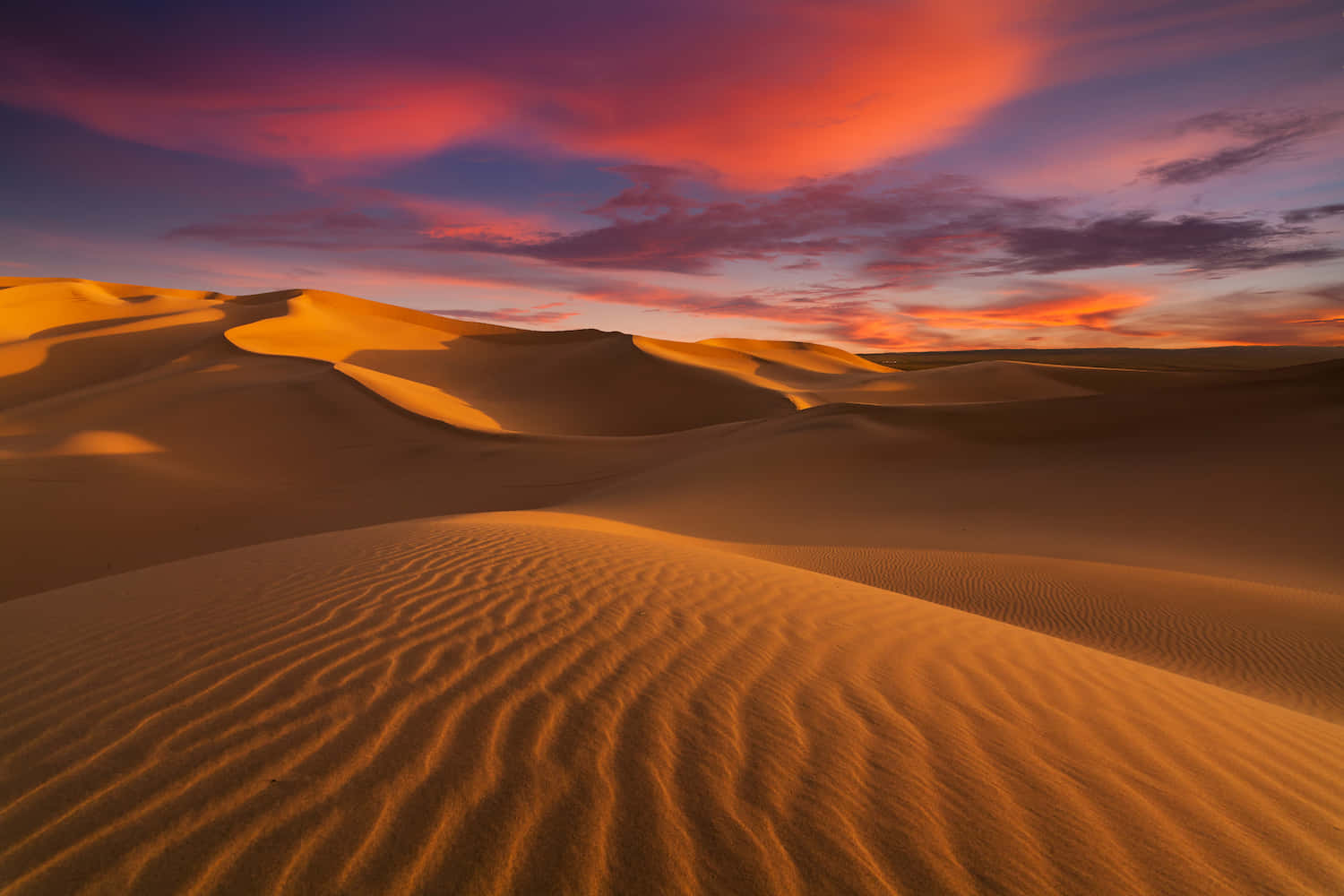 "The awe-inspiring beauty of the desert"
