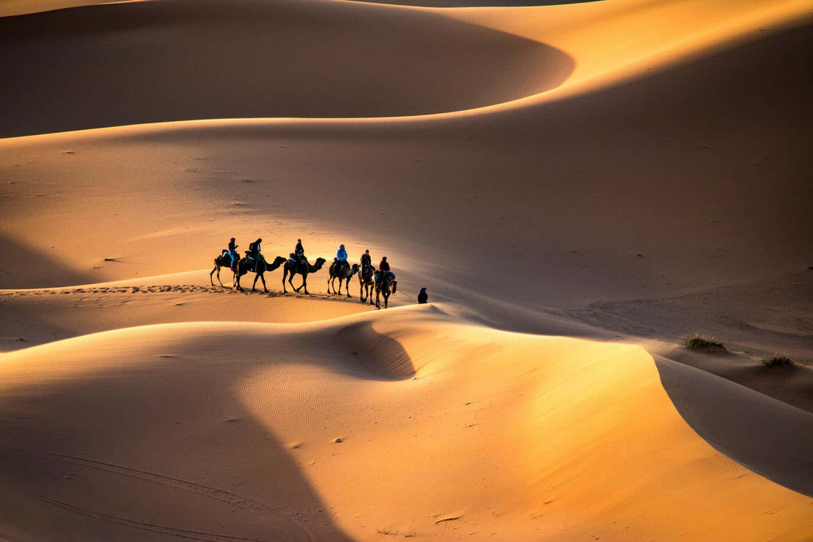 Forbløffendeudsigt Over Gyldent Sand Midt I Ørkenen.