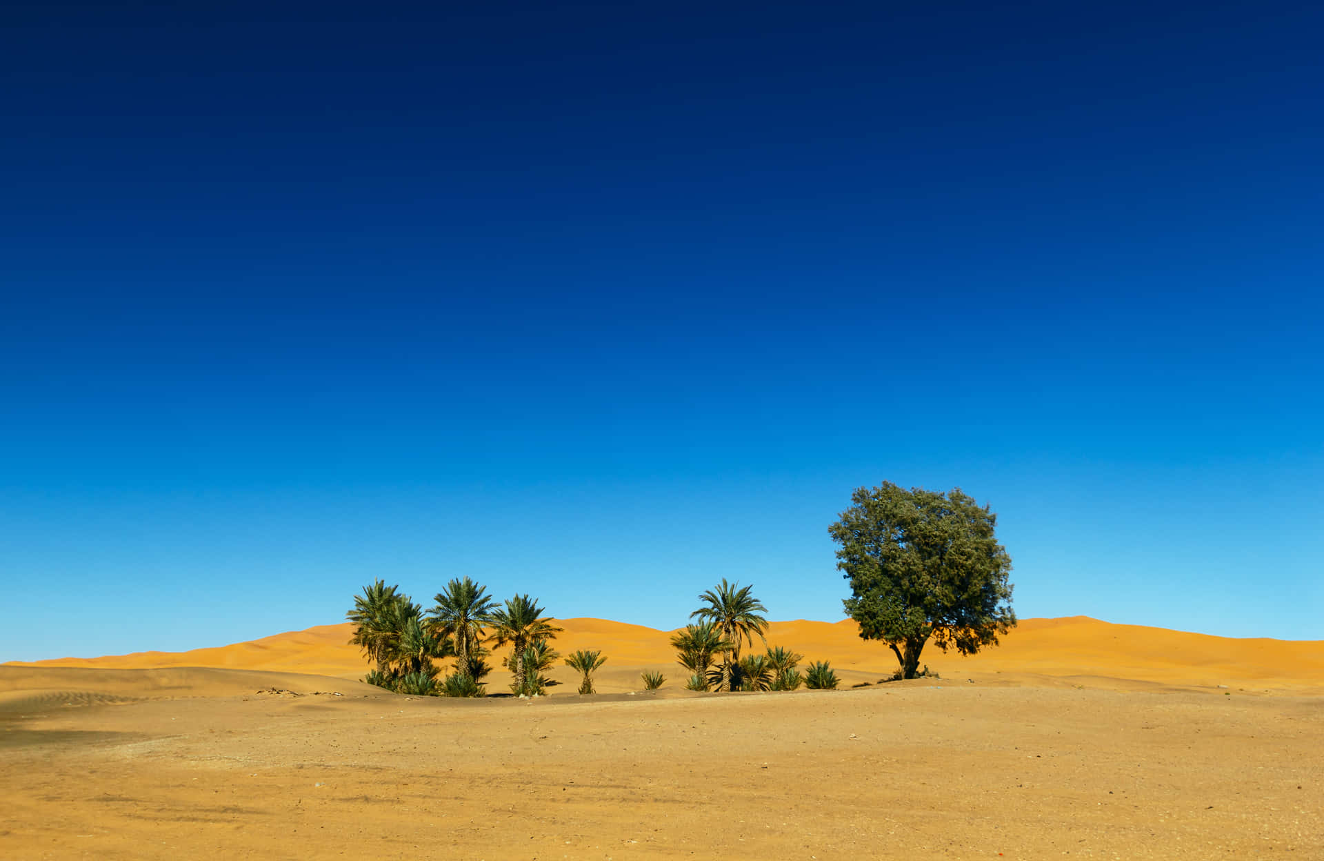 Eineentdeckung Der Einsamkeit In Der Wüste