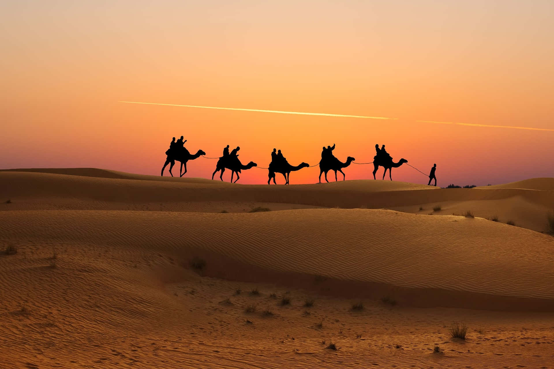 Ungrupo De Personas Montando Camellos En El Desierto