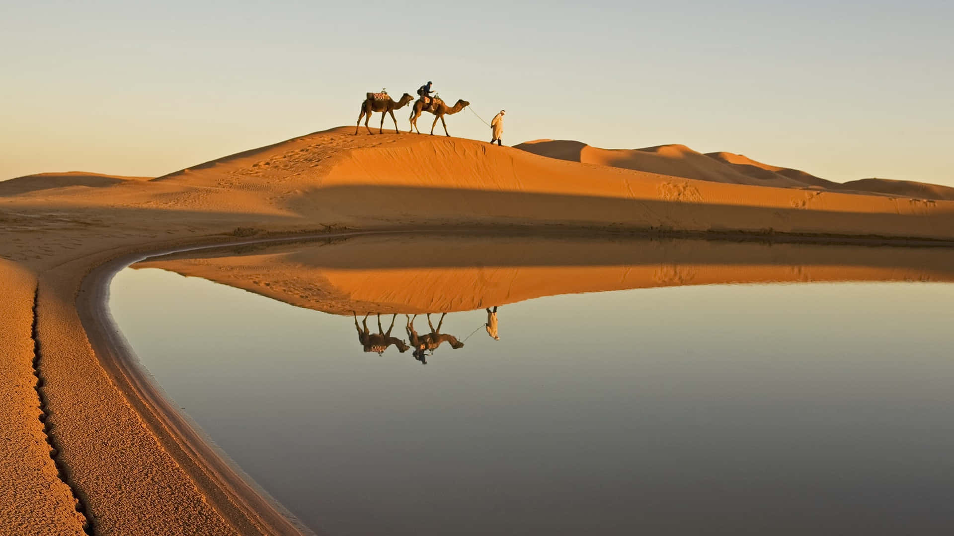 Admirandoa Beleza Do Deserto Imponente