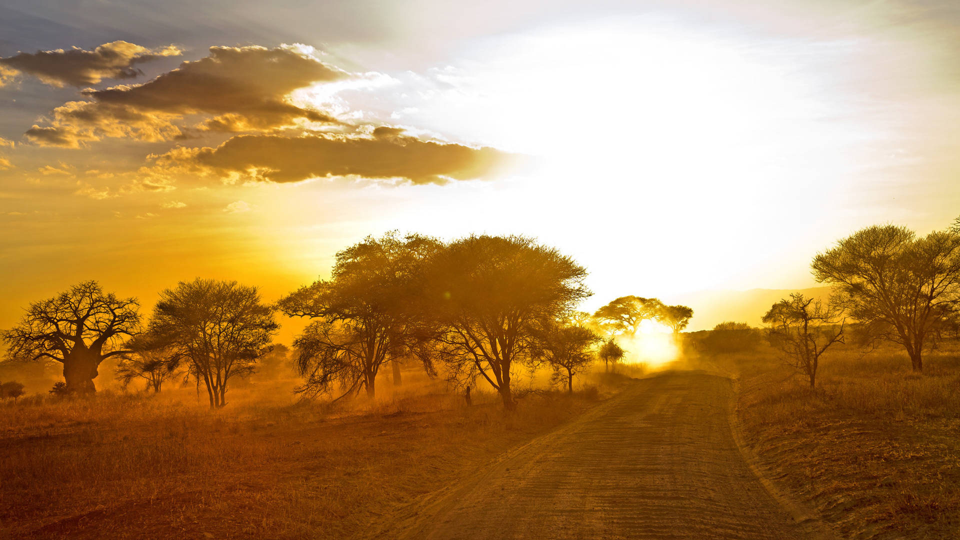 Desert Road In Africa 4k Background