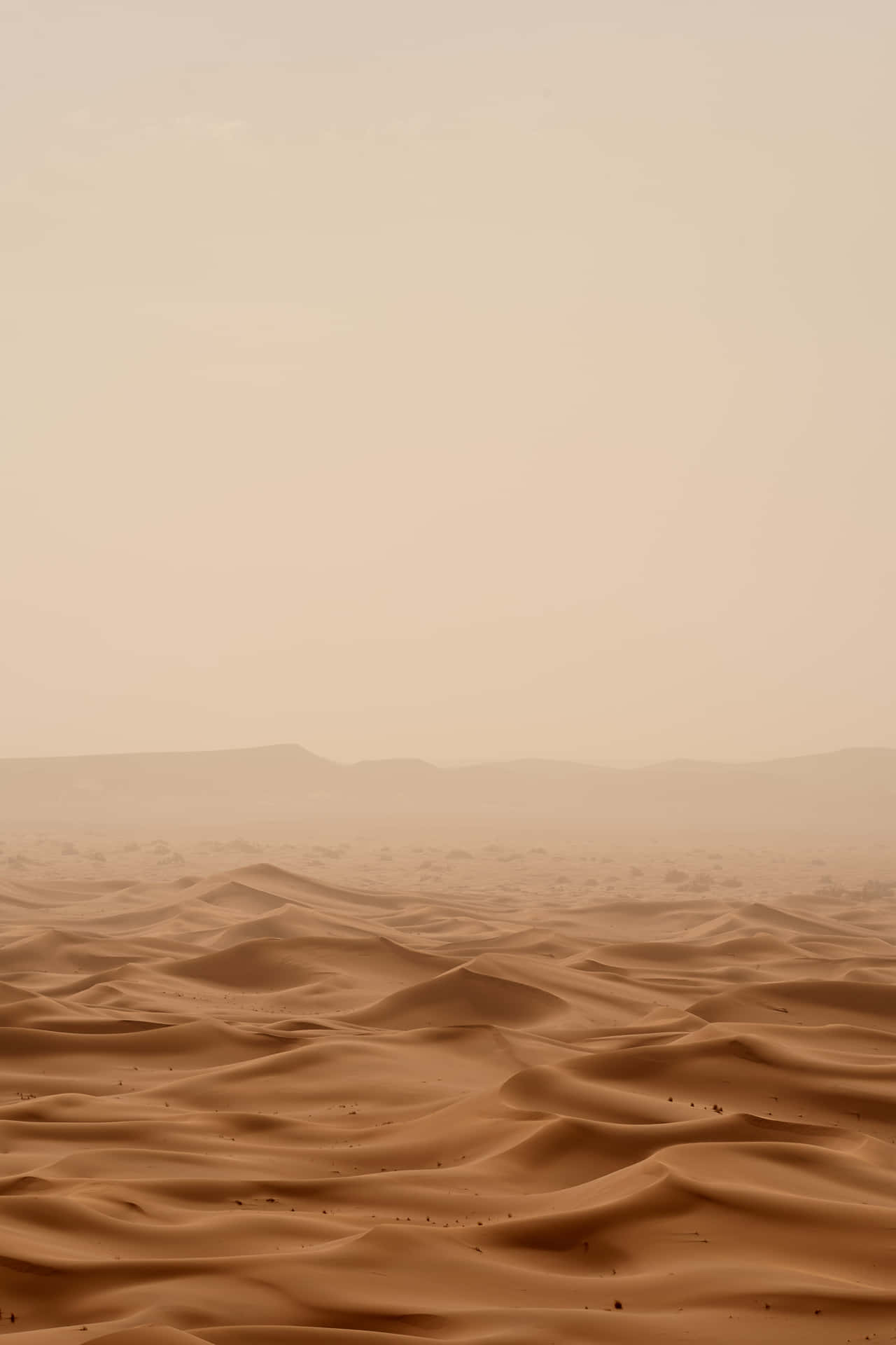 Arenadel Desierto Niebla Densa Fondo de pantalla
