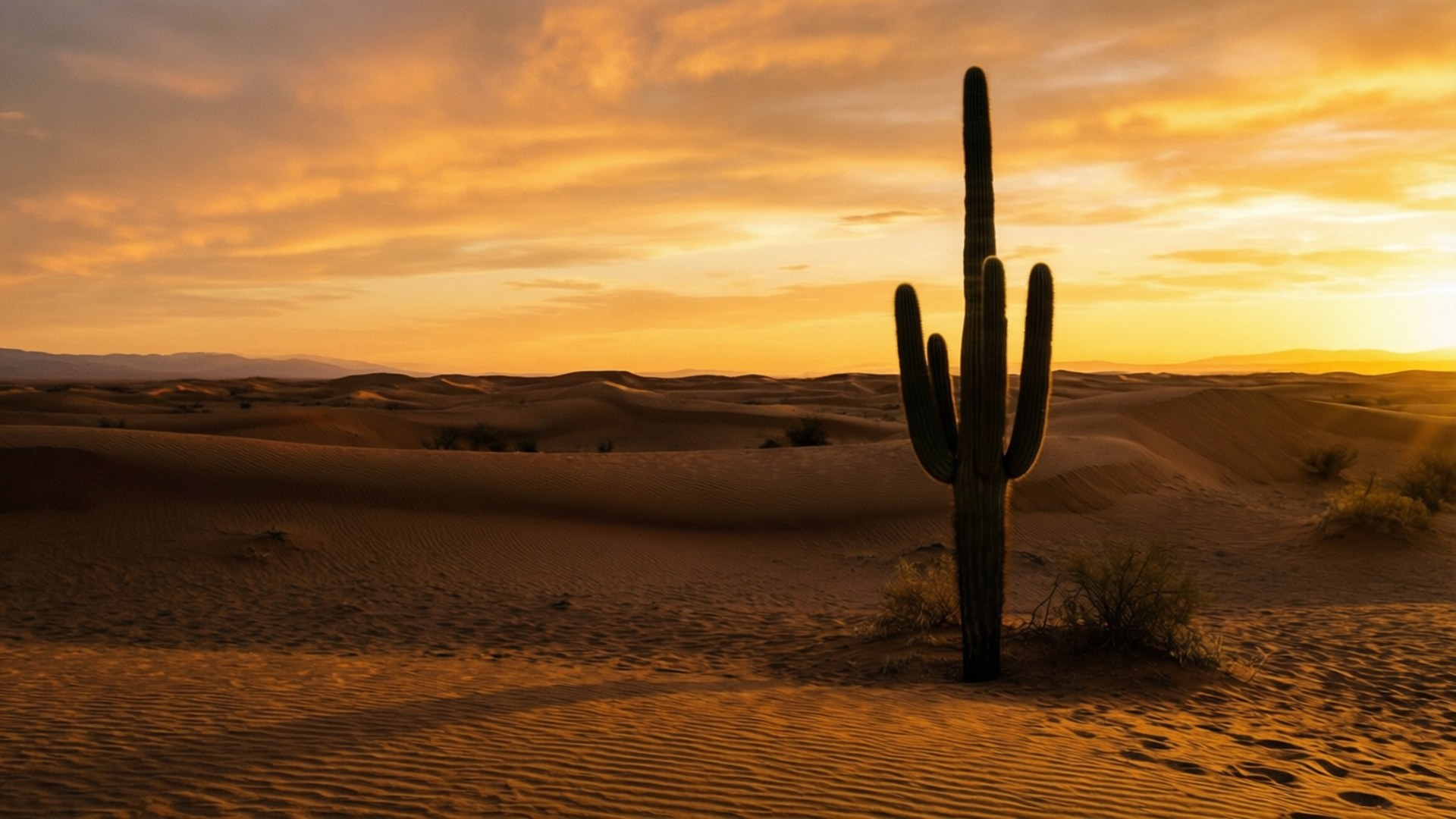 Desert Solitude Taustakuvat