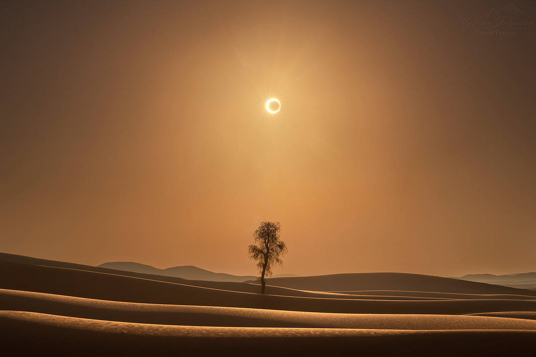 Majestic Solar Eclipse Igniting the Desert Sky Wallpaper