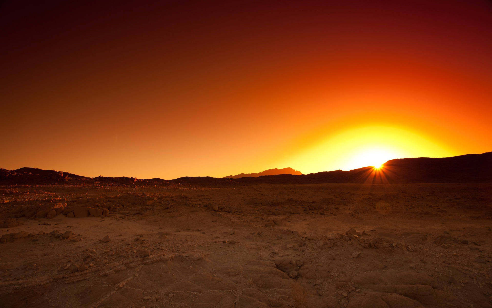 Desert Sun In Horizon Wallpaper