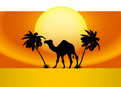 Desert Sunset Camel Silhouette PNG