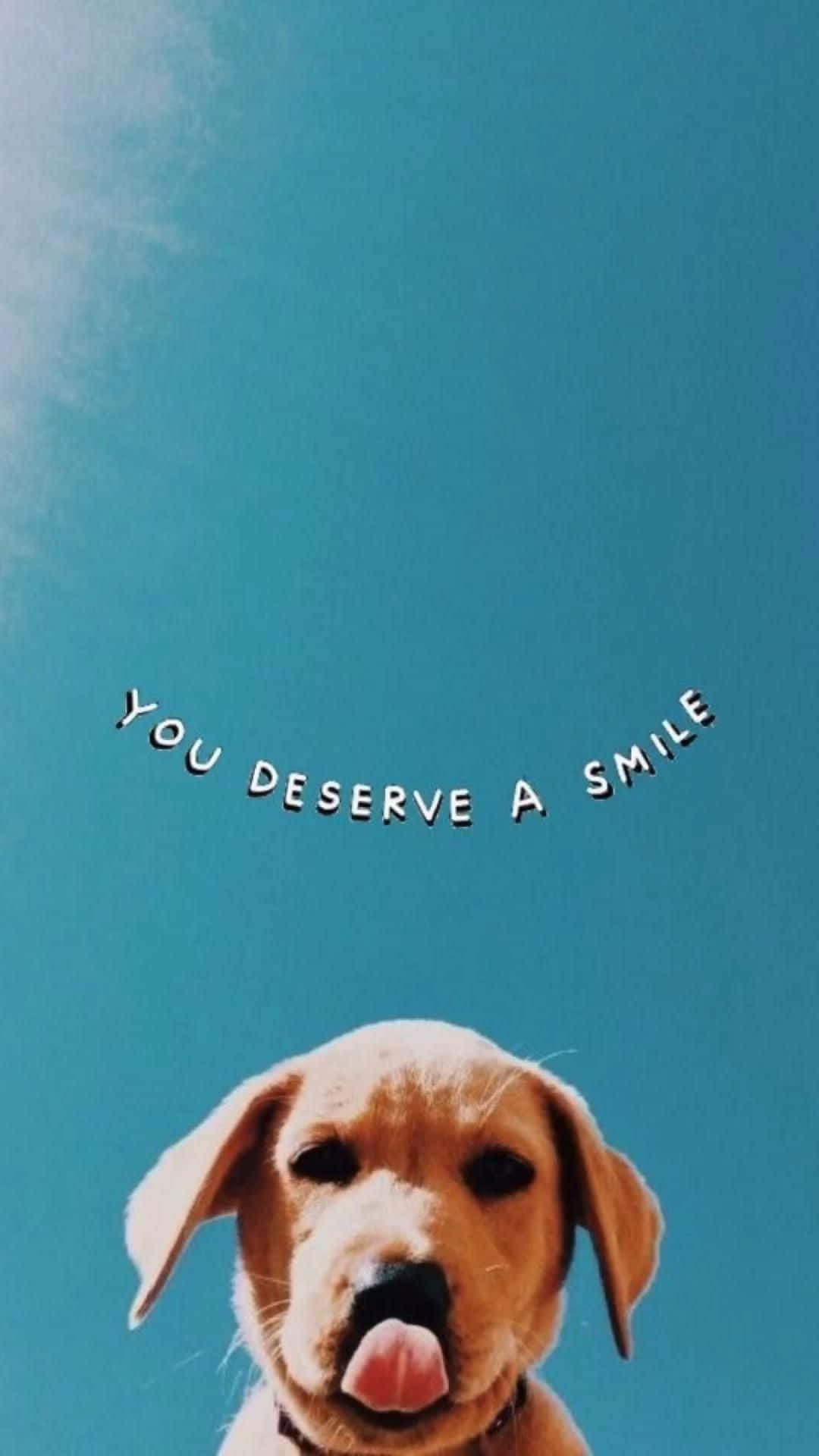 Deserve A Smile Puppy Sky Backdrop Wallpaper