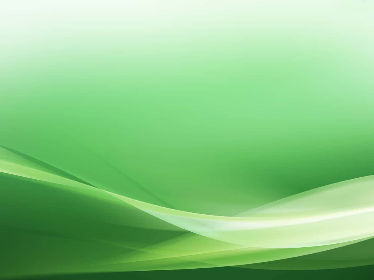 green abstract background with wavy lines Wallpaper