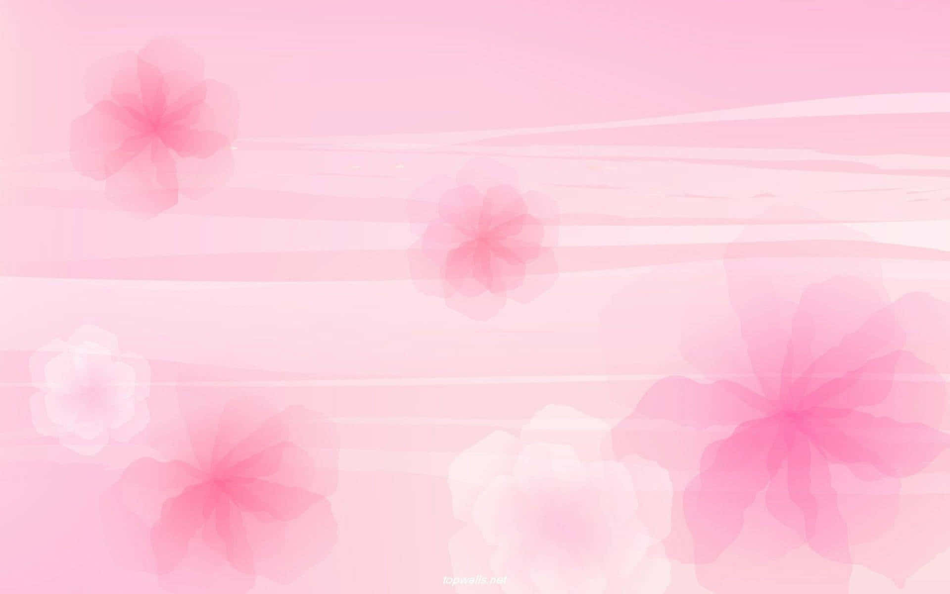 Pink Flowers On A Pink Background
