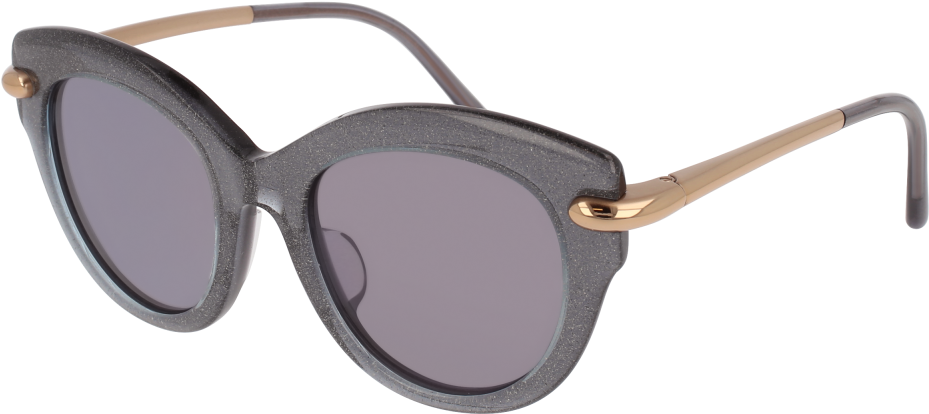 Designer Black Round Sunglasses PNG