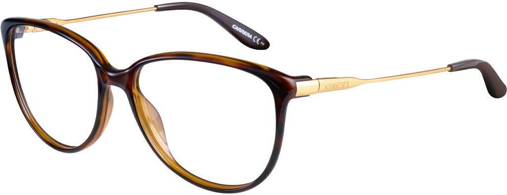 Designer Tortoiseshell Eyeglasses PNG
