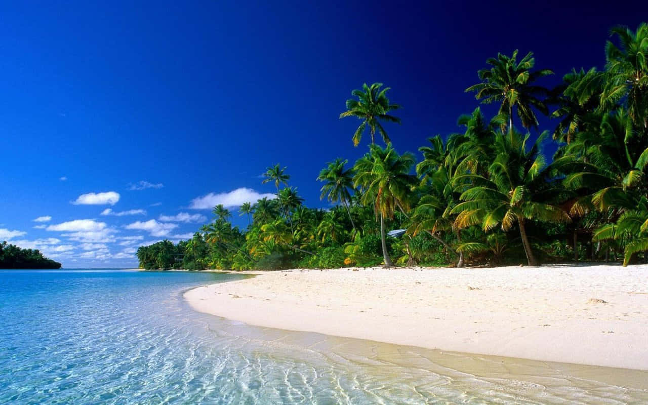 Playa Caribe Beach Desktop PC Background
