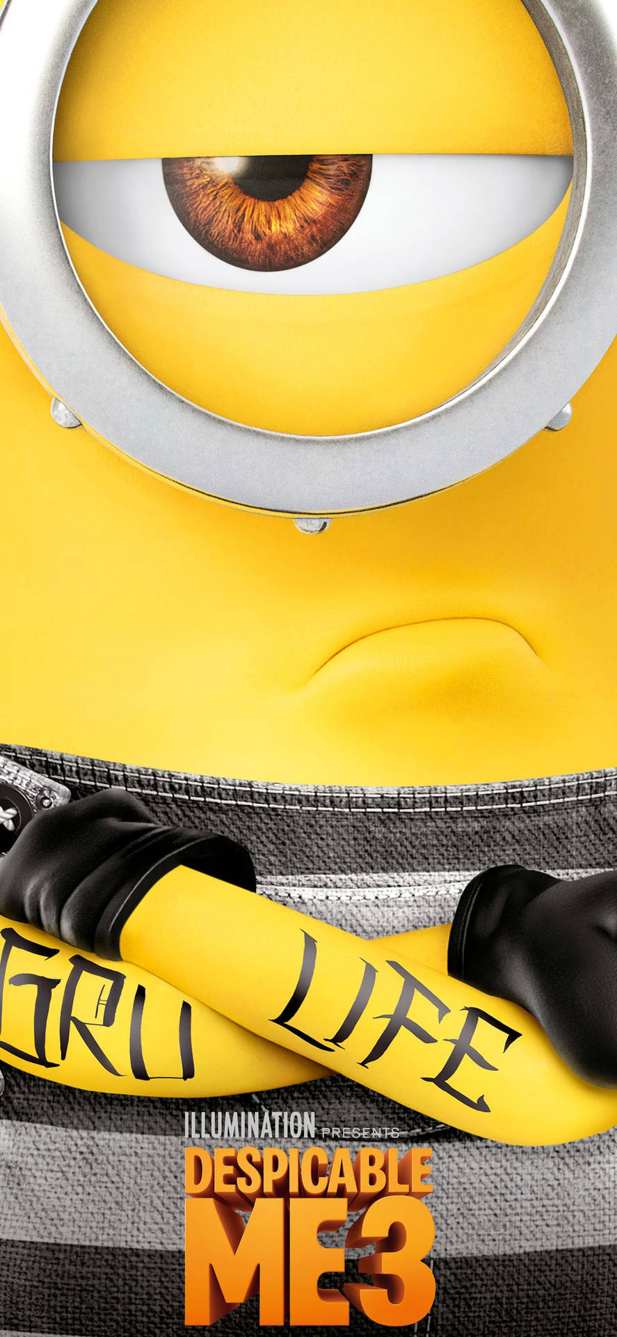 Despicable Me 3 Poster Background