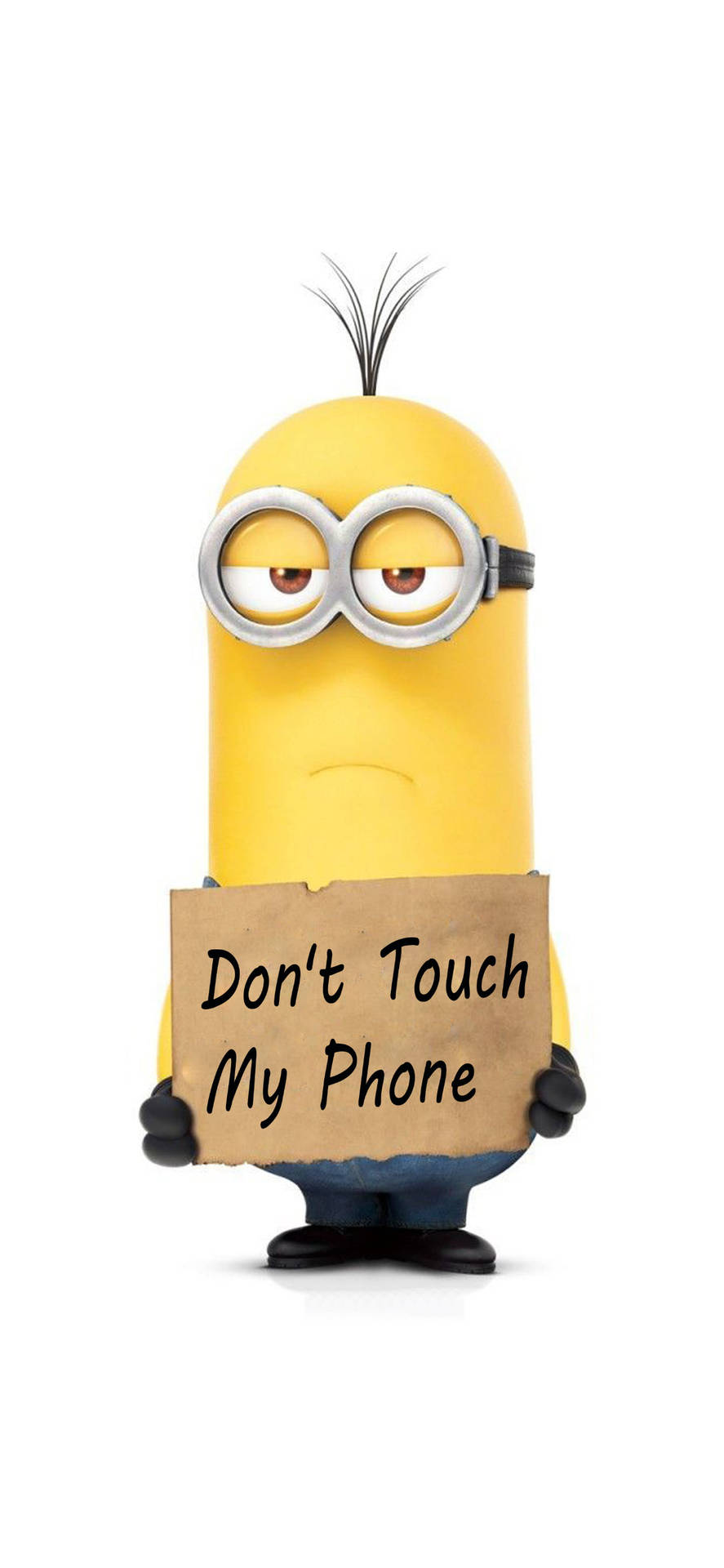 Download Despicable Me Don't Touch My Phone Wallpaper 