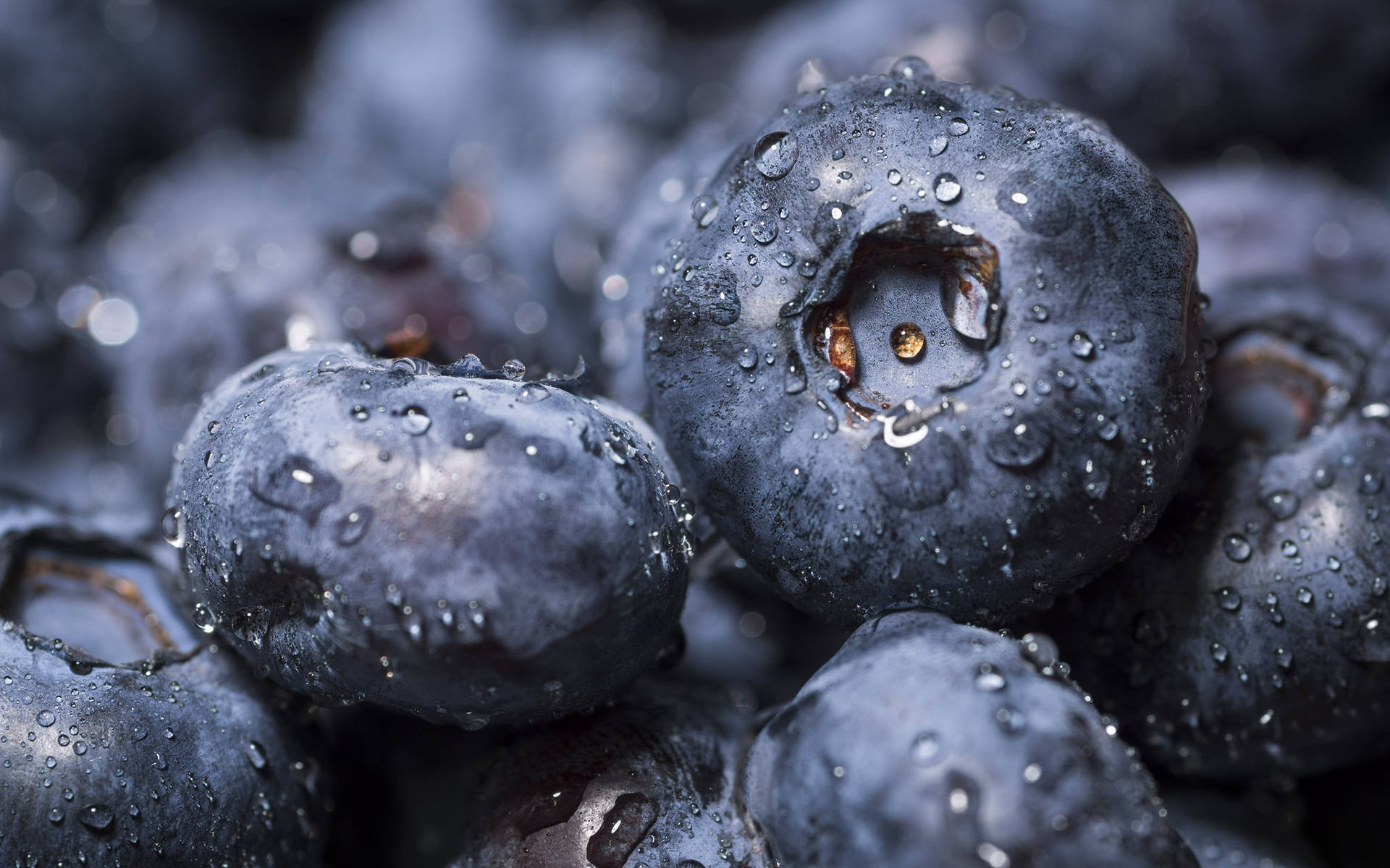 Destemmed Blueberries Close-up Wallpaper
