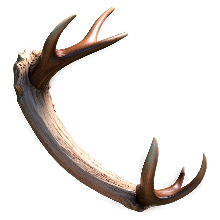 Detailed Antler Sketch Png 16 PNG