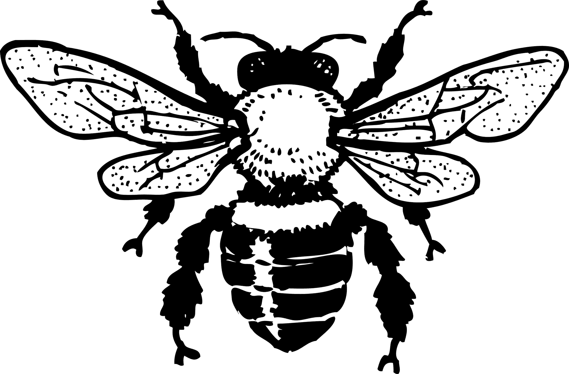 Detailed Bee Clipart Blackand White PNG