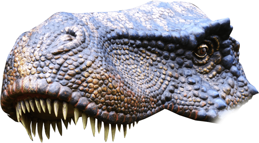 Detailed Crocodile Head Profile PNG