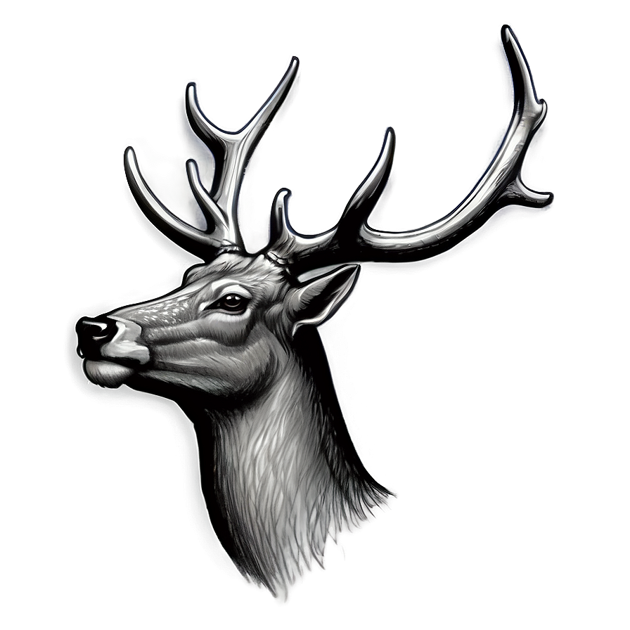 Detailed Deer Head Sketch Png 54 PNG