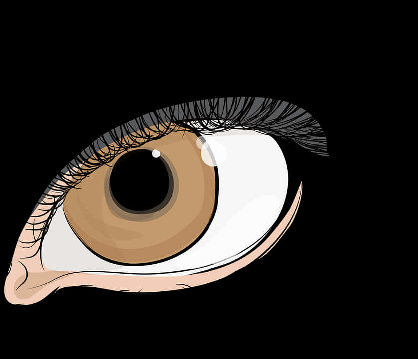 Detailed Eye Illustrationwith Long Lashes PNG