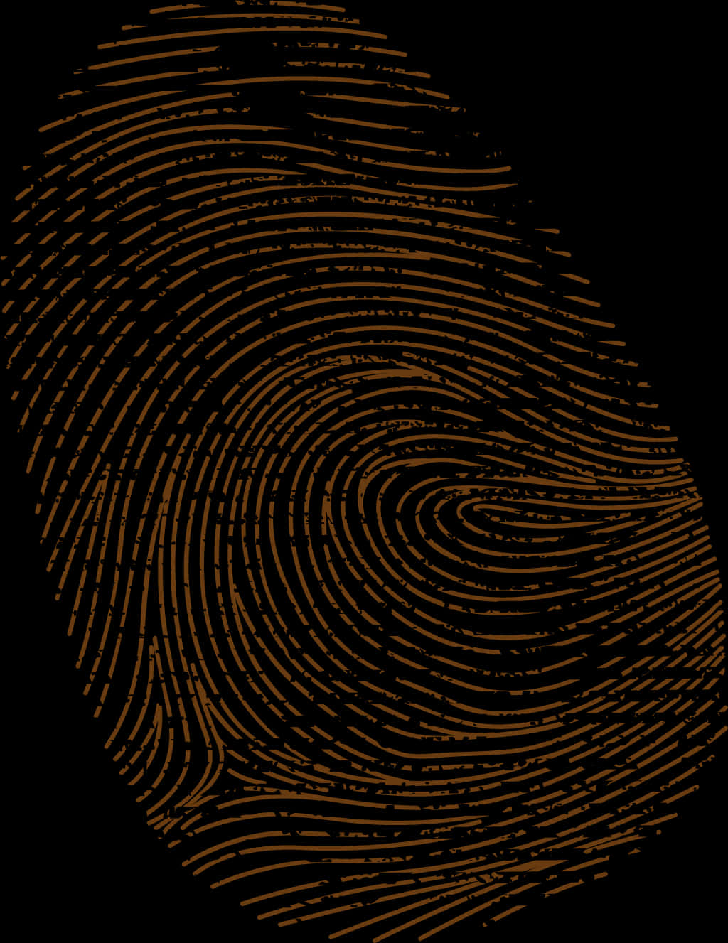Detailed Fingerprint Pattern PNG