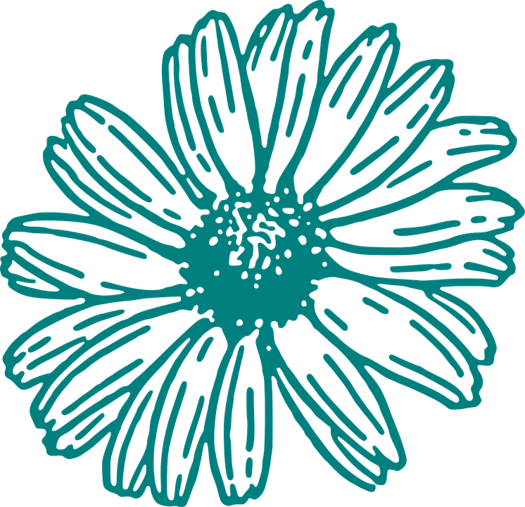 Detailed Flower Outline Graphic PNG