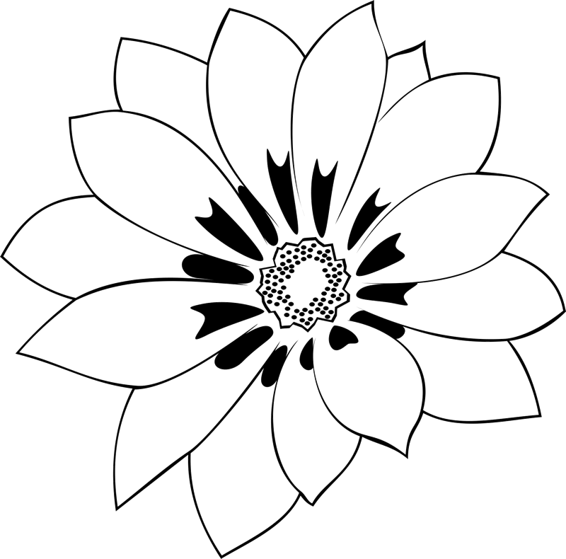 Detailed Flower Outline Graphic PNG