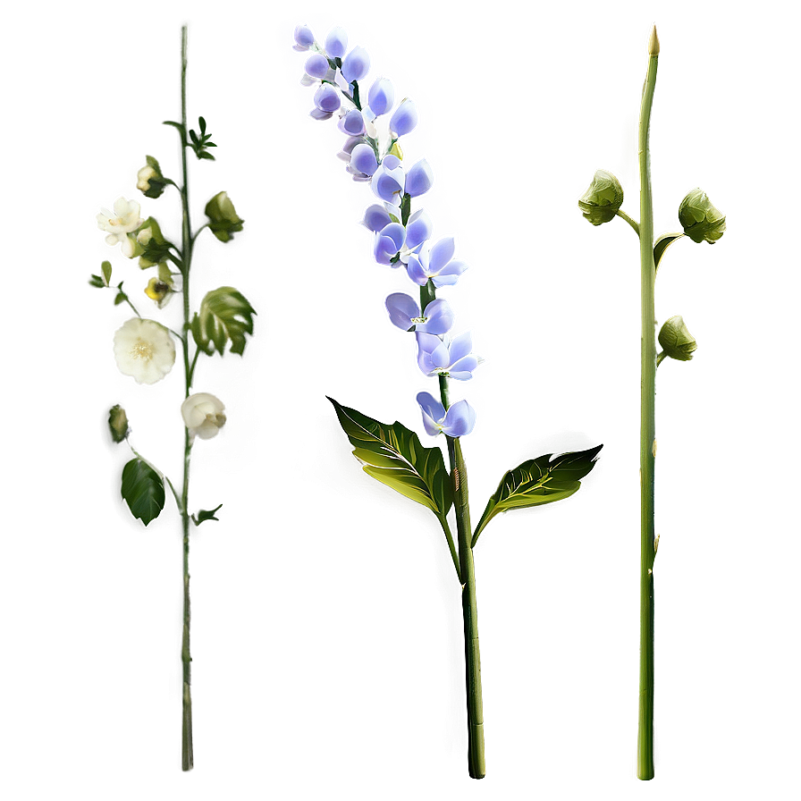 Detailed Flower Stem Png 06132024 PNG